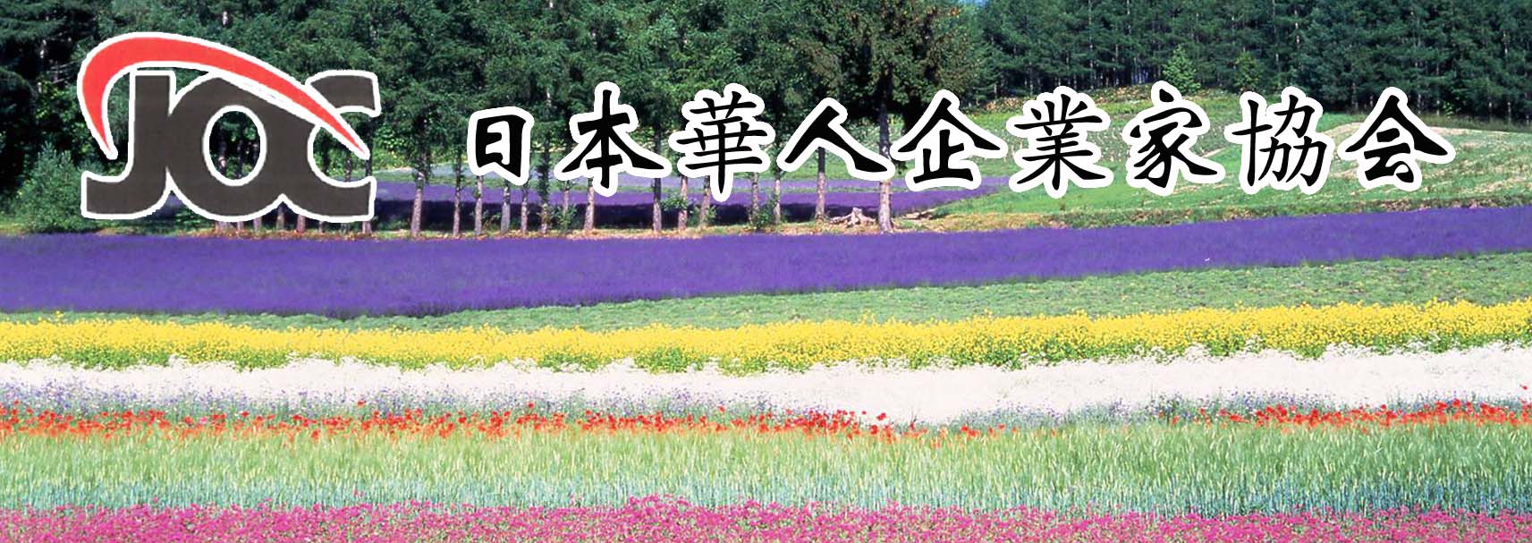 "北海道  富良野"